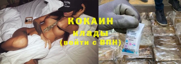 шишки Волосово