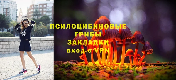 шишки Волосово