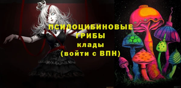шишки Волосово