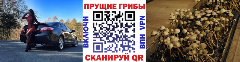 Галлюциногенные грибы мухоморы  Купить  Похвистнево 